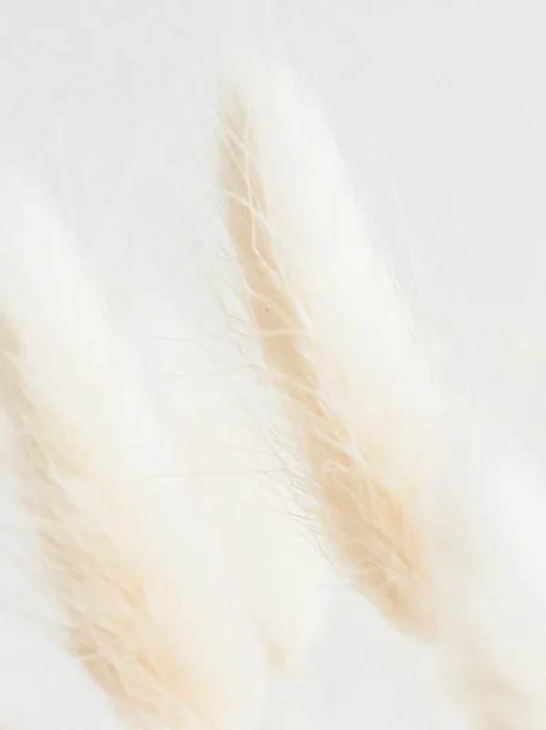 2 Estados de Presencia
- Colección de meditaciones guiadas